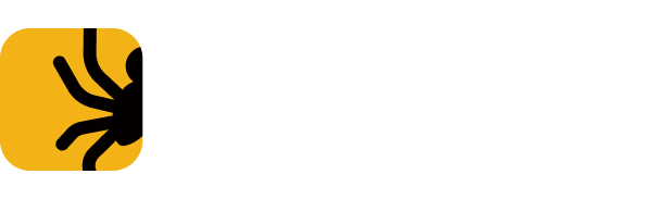 SpiderPool